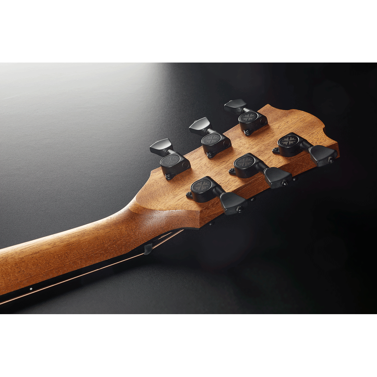 ​Electro Acoustic Guitar Sauvage Travel by Lâg | Includes Case and Cable | GLA SAUVAGE-TE