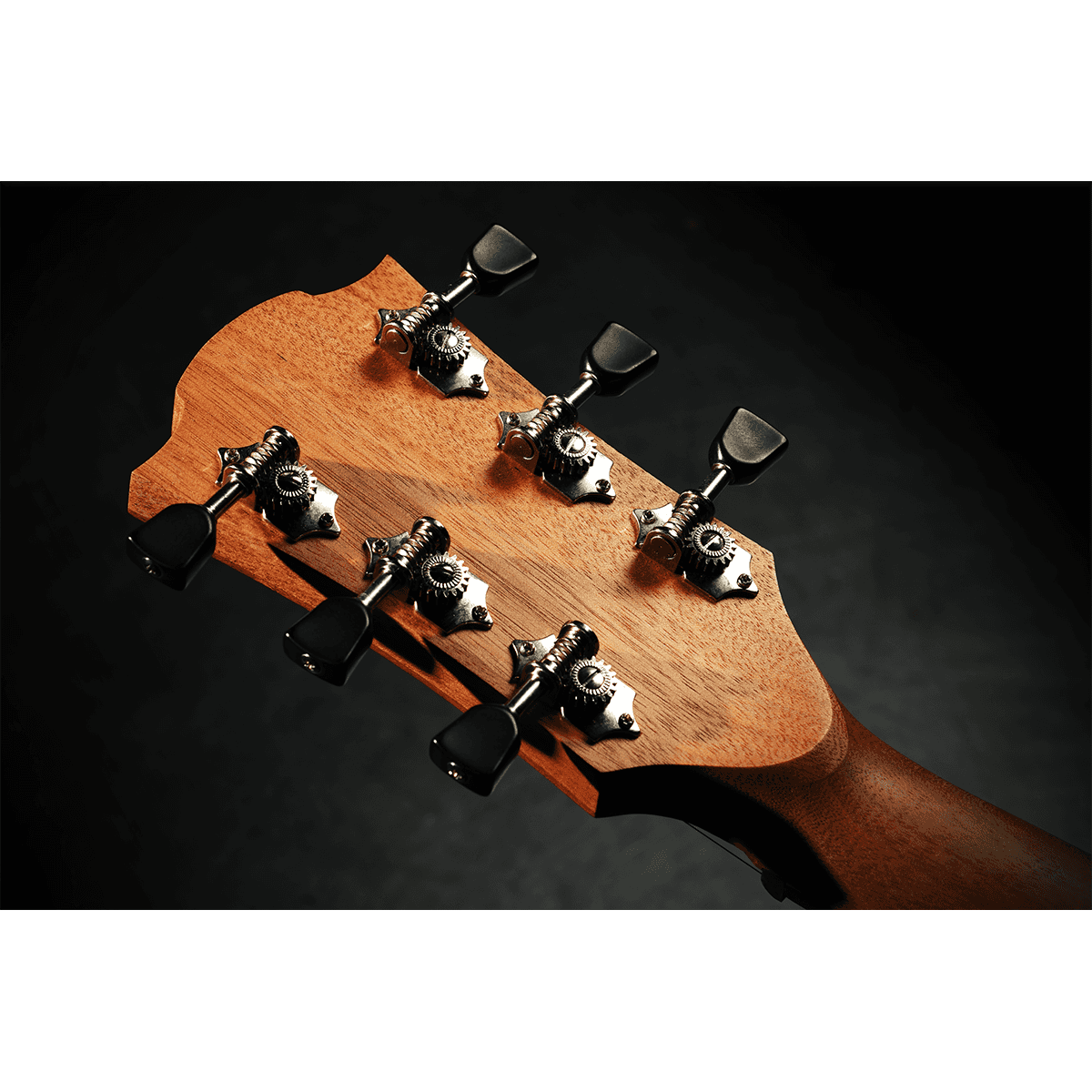 Steel Strings Acoustic Guitar Tramontane 70 by Lâg | T70D-NAT Dreadnought