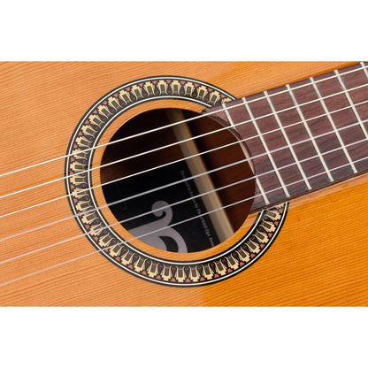 Pleyel P200 Classical Guitar | Solid Red Cedar Top | 4/4 | Natural