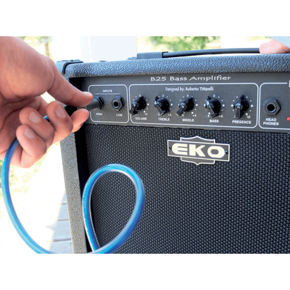 B 25 by Eko Guitars |  25W Bass Guitar Amp