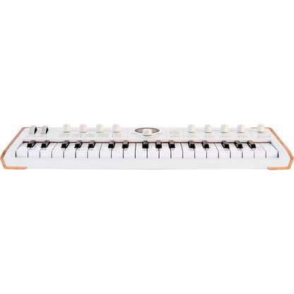 Arturia AstroLab 37 | 37-Key Stage Keyboard Synthesizer | Analog Lab Integration