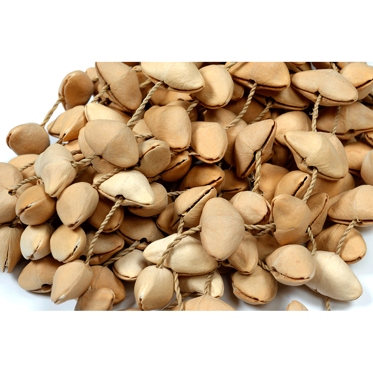 Kenari Seed Shaker By Tanga | PTA SHAKER-KENARI-L | Percussion