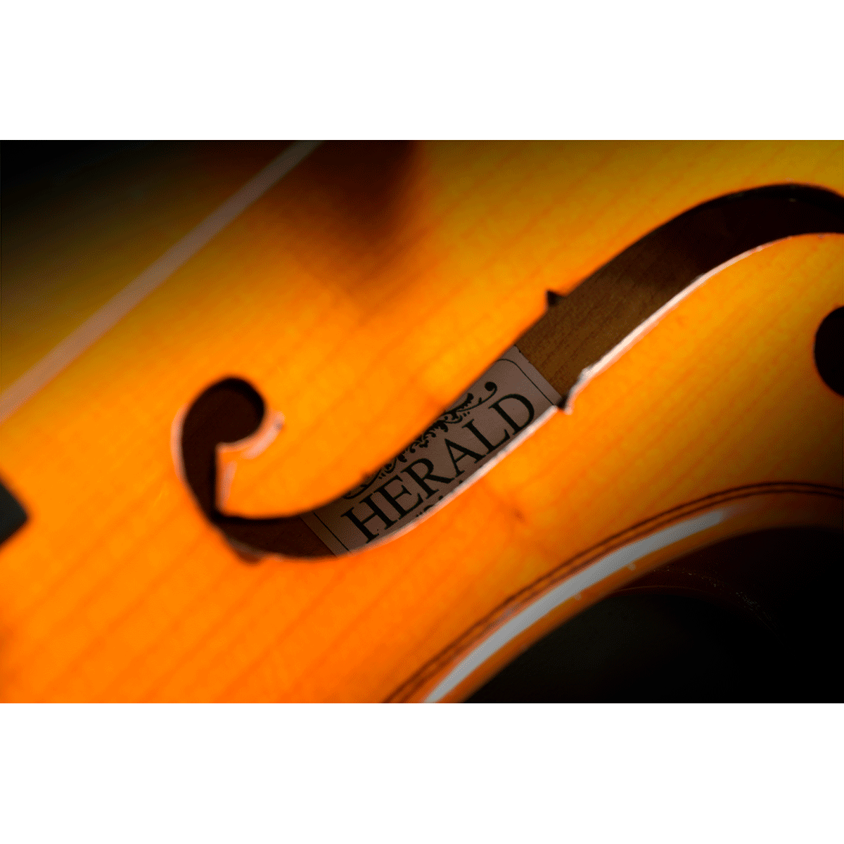 Violin all solid 1/4 size by Herald | QHE AS114