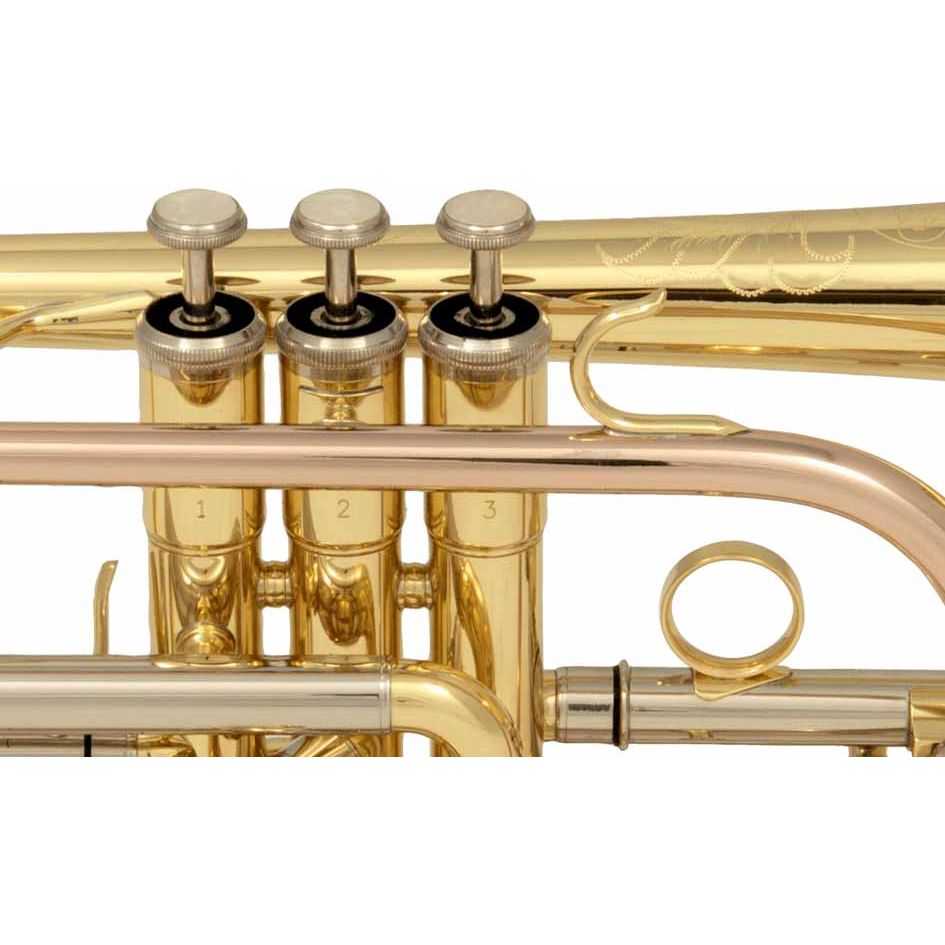 Bb Gold lacquered Cornet with soft case by SML Paris | CO50